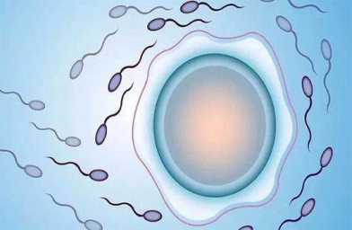 试管婴儿长大后是否存在弊端缺陷？来看正解--全球试管婴儿预约 | 费用 